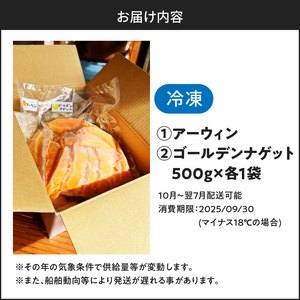 完熟 とれたて 凍らせ マンゴー セット （ アーウィン ・ ゴールデンナゲット ） C063-001 果物 フルーツ 冷凍