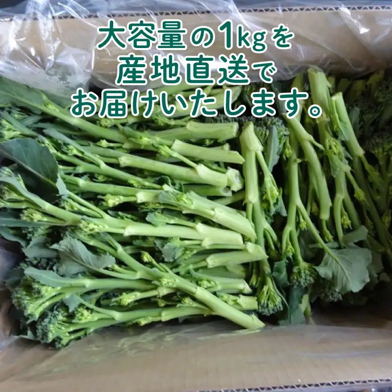 茎 ブロッコリー 1kg IM004-z