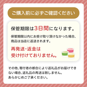 パーティーセット／ハーゲンダッツ