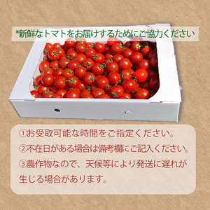 【2026年4月頃から順次発送】日高農園 水耕栽培 ミニトマト 3kg | トマト ミニトマト プチトマト 水耕栽培 トマト ミニトマト プチトマト 水耕栽培 トマト ミニトマト プチトマト 水耕栽培【HDK0013】