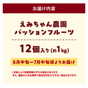 【 2026年 先行予約 】 えみちゃん農園 パッションフルーツ （ 12個入り ） C008-010 果物 フルーツ