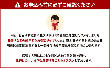 紙袋バッグ （Mサイズ） 革 革製品 レザー ヌメ 鞄 かばん カバン 贈答