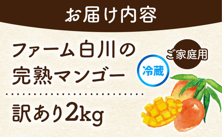 【 2026年 先行予約 】 ファーム白川 の 完熟 マンゴー 訳あり 2kg C032-001 果物 フルーツ