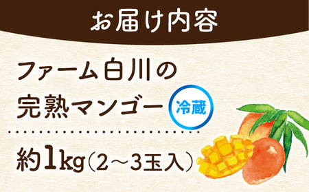 【 2026年 先行予約 】 ファーム白川 の 完熟 マンゴー 1kg C032-002 果物 フルーツ