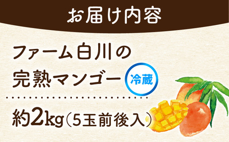 【 2026年 先行予約 】 ファーム白川 の 完熟 マンゴー 2kg C032-003 果物 フルーツ