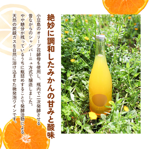 【 小豆島 】文次郎農園 小豆島100％ みかんのわいん飲み比べセット お酒 酒 ワイン みかん 蜜柑 ミカン 温州みかん 香川 香川県 土庄 土庄町
