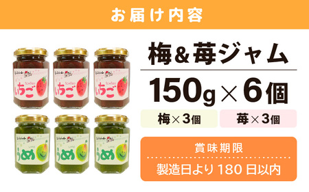 【先行予約】【福井県産】フルーツを使った 梅＆苺のジャム 計6個セット (梅ジャム3個 苺ジャム3個) 着色料・保存料不使用！ 【2026年6月下旬以降順次発送予定】[m03-a049]