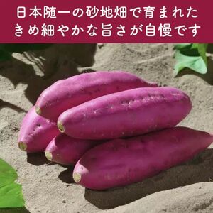 なると金時里むすめ コロッケ 300g（60g×5個）× 3袋　鳴門金時　さつまいも　惣菜　冷凍　コロッケ　
