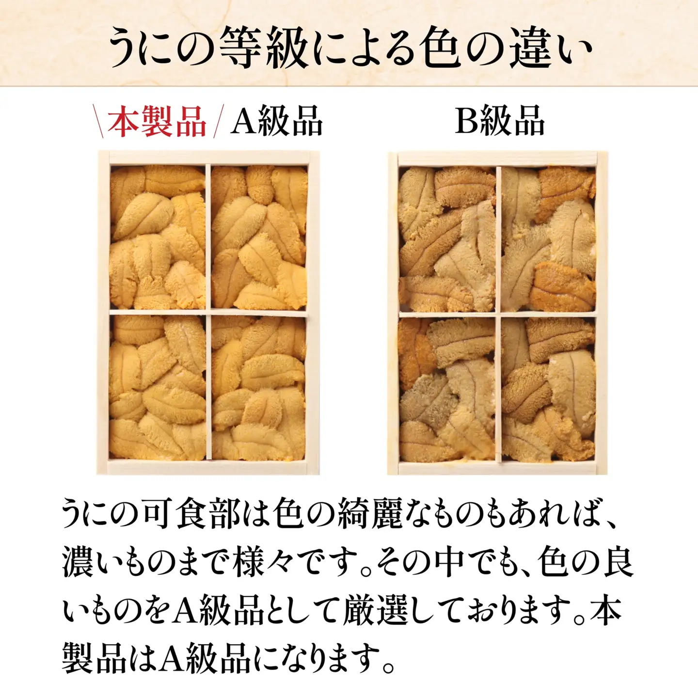 「うにむらかみ」無添加生うに　木箱　150g HOKT005