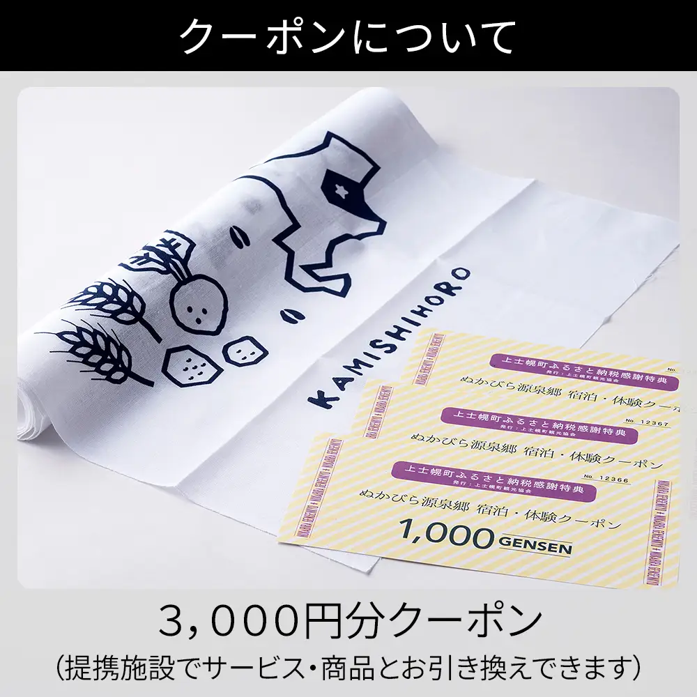 上士幌・ぬかびら源泉郷 宿泊・体験クーポン 3,000円分 北海道 十勝 旅行 トラベル ホテル 旅館 旅行券 宿泊券 宿泊チケット アクティビティー