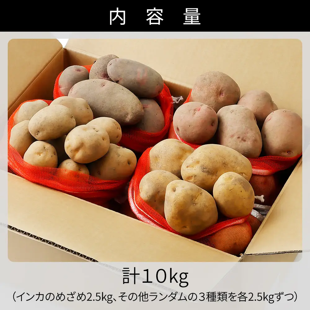 2026年産 先行予約 北海道産 インカのめざめ その他3種 じゃがいも 計10kg（2.5kg×4種） 上士幌町加藤農場 インカの目覚め 馬鈴薯 芋 イモ 野菜 詰め合わせ ◆2026年11月配送予定