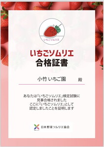 新定番！無添加紅白いちごドレッシング 各1本セット（ミルキーベリードレッシング、3種のいちごドレッシング）｜とちあいか とちおとめ スカイベリー 栃木県 さくら市 イチゴ 苺 8000円 8千円