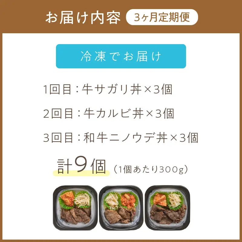 【3ヶ月定期便】レンジで丼！牛肉丼定期便 ( 牛肉 弁当 総菜 冷凍 簡単調理 サガリ カルビ ニノウデ )【999-0252】