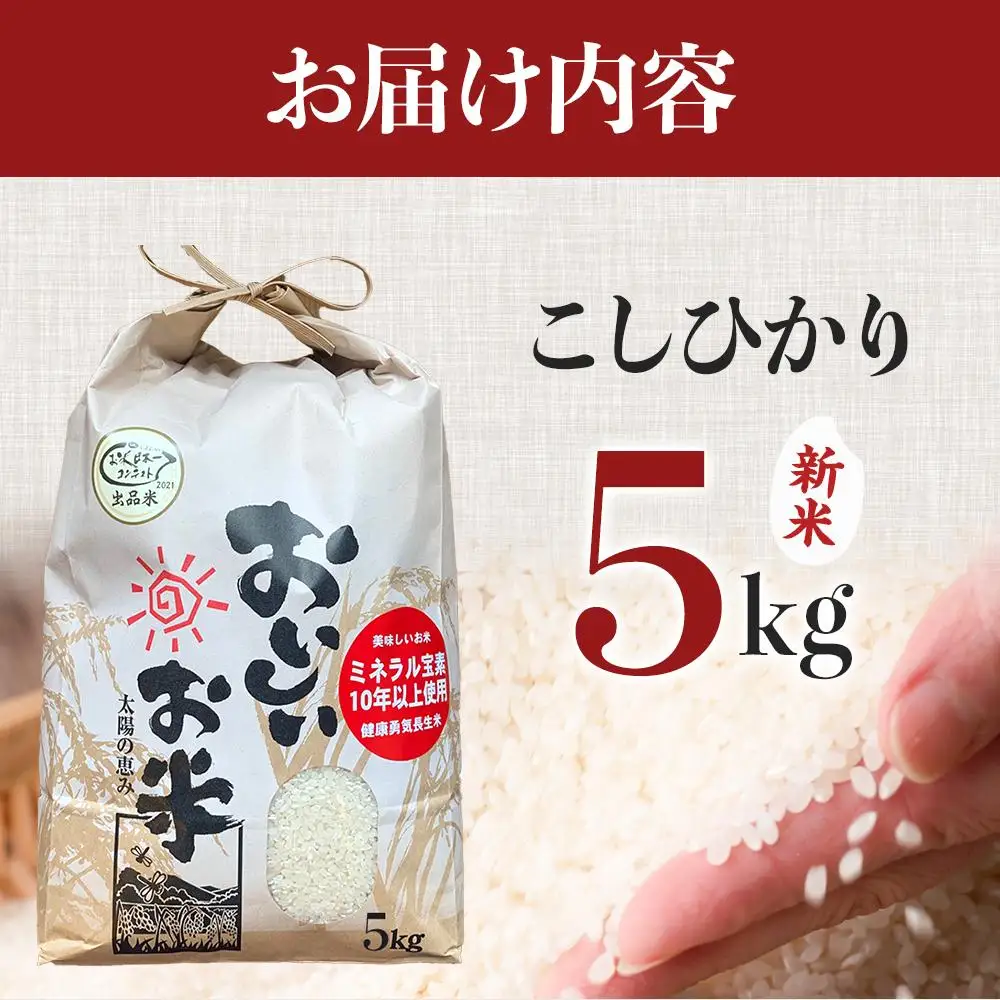 先行予約 【令和8年産 新米】 こしひかり 5kg（農薬・化学肥料不使用）【米 こめ お米 白米 精米 ブランド米 ご飯 人気 徳島 】