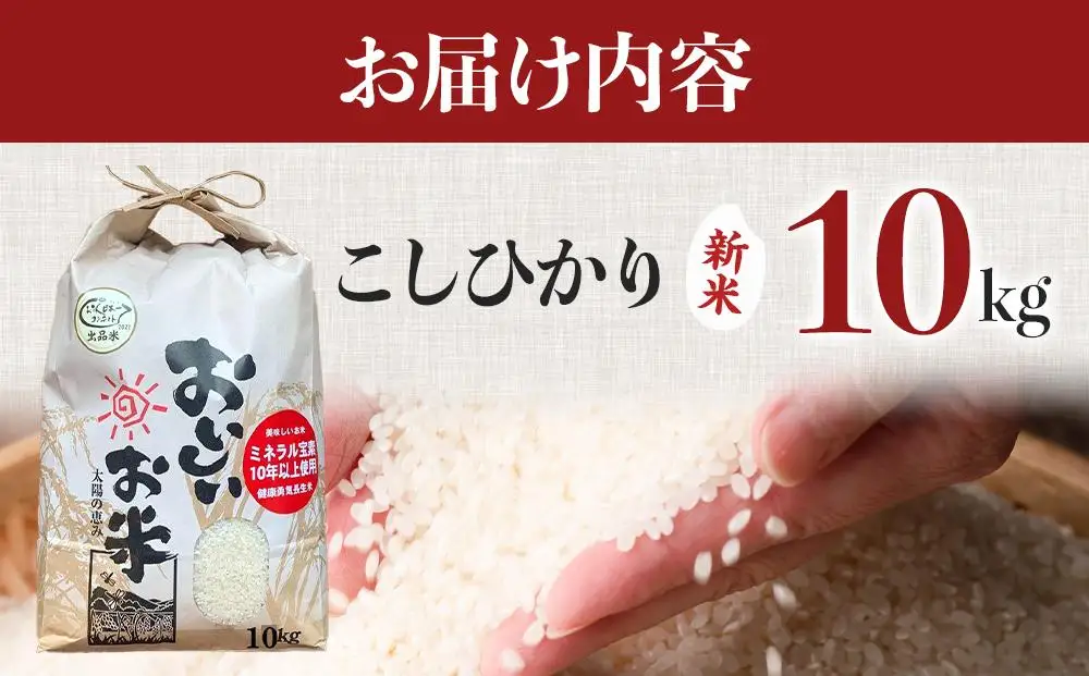先行予約 令和8年産新米 こしひかり 10kg（農薬・化学肥料不使用）【米 こめ お米 白米 精米 ブランド米 ご飯 人気 徳島 】