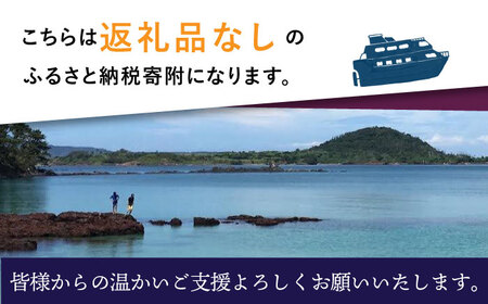 【返礼品なし】長崎県町 ふるさと応援寄附金（4,000円分） [DYZ003]
