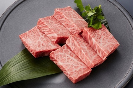 【5回定期便】丹波牛を味わう定期便 【牛肉定期便】 [123IZ001R]