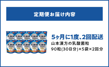 ＜5ヶ月に1度、2回送付定期便＞乳酸菌粒[027Y25-T]