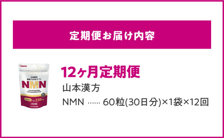 ＜12ヶ月連続定期便＞NMN[027Y29-T]βーNMN NMNサプリメント NMN60粒