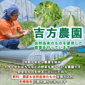 濃厚！トマトジュース (1L×2本)【2026年8月上旬から随時発送】 トマト トマトジュース ジュース 塩分不使用 100%果汁 野菜 野菜不足 有機肥料 フルティカ 飲料 【吉方農園】【B7081】