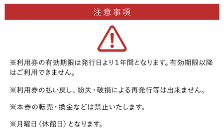東京湯楽城入浴券　2枚 TMI008 / 湯楽城 ホテル ギフト カード チケット 温泉 温泉チケット ギフトカード リゾートギフト 千葉県 富里市