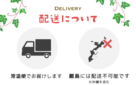 富里スイカ(Lサイズ6～7kg)2玉  すいか スイカ 西瓜 千葉県 富里市 果物 フルーツ 採れたて とれたて 産地直送 農家直送 千葉県産 ちば 千葉すいか 千葉スイカ 富里 富里すいか 富里スイカ 甘い あまい 美味しい おいしい 大玉 大玉すいか 大玉スイカ TMF006