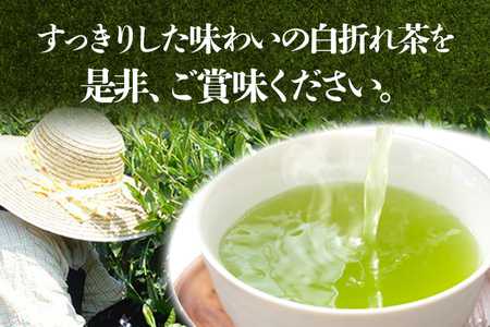 【2026年産】緑茶 星野茶 八女茶 お茶 星野村の八女茶 特上白折れ茶 240g（80g×3本）