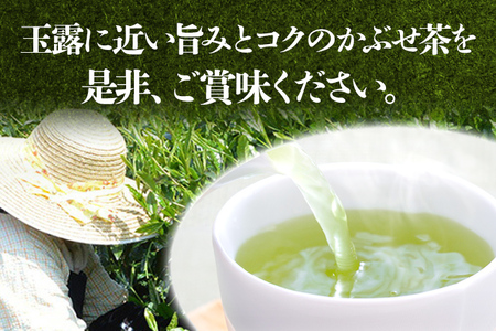 【2026年産】緑茶 星野茶 八女茶 お茶 星野村の八女茶 かぶせ茶 80g×2本 お取り寄せグルメ お取り寄せ 福岡 お土産 九州 福岡土産 取り寄せ グルメ 福岡県