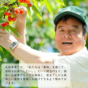 《先行予約》令和8年産 りんご（サンふじ）と ラ・フランス 詰合せ 3kg 山形県産【2026年11月頃から12月中旬頃発送予定】2026年産 山形県産　014-B-MM073