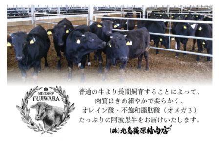 【 3回定期便 】 牛肉 阿波黒牛 旨味タレ漬け食べ比べセット 300g×2パック 計6パック [北島藤原精肉店 徳島県 北島町 29al0027]