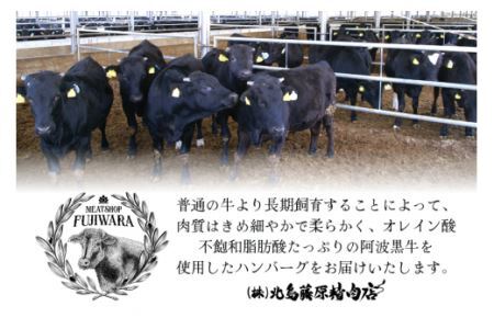 ハンバーグ 冷凍 阿波黒牛入り 老舗お肉屋 手ごねハンバーグ 箱入り 150g 5個 [北島藤原精肉店 徳島県 北島町 29al0021]