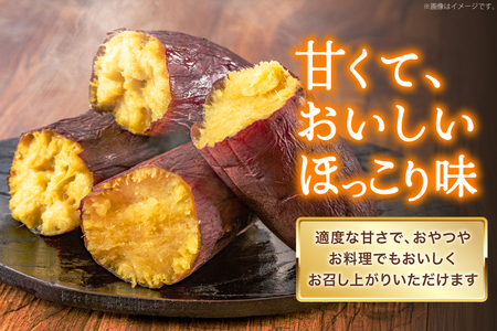 【大人気！】 さつまいも なると金時 5kg [北島町役場 徳島県 北島町 29bb0001]