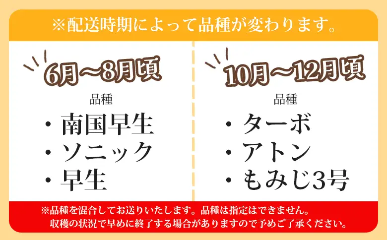 玉ねぎ 7kg 家庭用 野菜 高知 大小混合 - 香南市産 国産 たまねぎ タマネギ 玉葱 野菜 オニオンスープ ハンバーグ 常備野菜 保存野菜 香南くろしお園 高知県 香南市 ke-0037