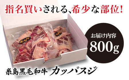 【A4ランク糸島和牛】 希少部位 カッパスジ 800g 糸島市/いとしまミートデリ工房 [ACA375] 牛肉 バーベキュー BBQ
