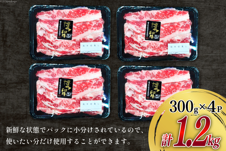 肉 牛肉 博多和牛 切り落とし 300g×4パック [くしだ企画 福岡県 筑紫野市 21760779]