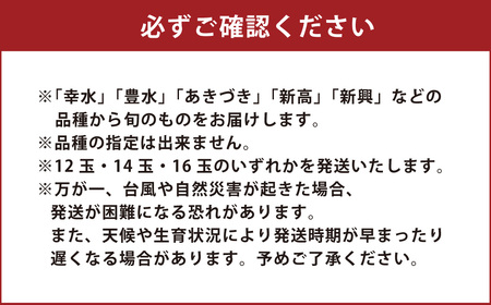 熊本県ＪＡくま産 球磨の梨 5kg(12玉～16玉 旬な品種) お届け時期：2026年8月上旬～10月上旬