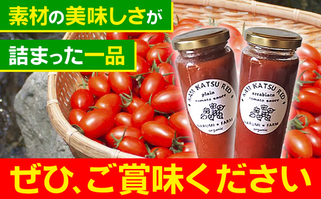 上勝レッド ピューレ プレイン 1瓶 200ml NARUMIFARM 《30日以内に出荷予定(土日祝除く)》ピューレ トマトピューレ とまと トマト 野菜 やさい オーガニック お肉 お魚 パスタ パスタソース ペンネ ピザ 徳島県 上勝町 送料無料