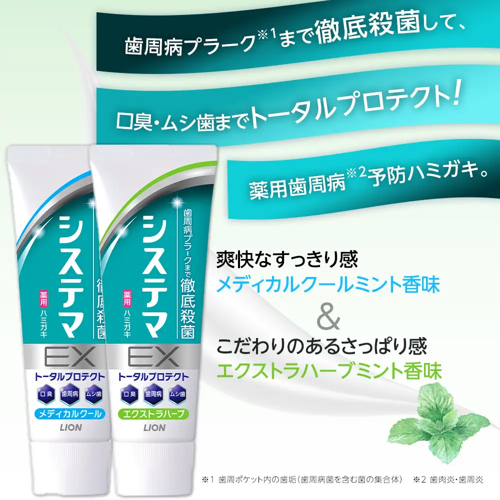 【ふるなびWEEK対象】【寄附額見直しました！】LION ハミガキ NONIO×システマ使い比べセット ｜ 日用品 ふるさと納税 歯磨き粉 歯磨き粉 ●