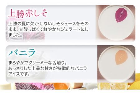 しあわせアイス 5種 セット 計6個 彩食品グループ 《30日以内に出荷予定(土日祝除く)》アイス アイスクリーム ご当地 スイーツ ご当地 アイス 特産品 柑橘 柚香 晩茶 お取り寄せ カップ ジェラート 徳島県 上勝町 送料無料