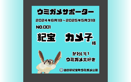 紀宝町ウミガメ公園 ウミガメサポーター（1年間） / ウミガメ サポーター ウミガメ公園 三重県 紀宝町 イベント 餌やり【rkr016】