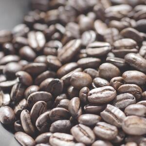 SDGs目標1（貧困をなくそう）ネパール　ラマ・オーガニック農園ディスプレイカートン12包