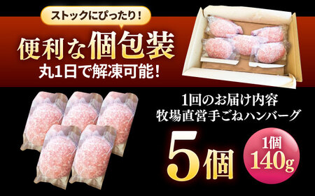 【3回定期便】自家製ハンバーグ5個 / ハンバーグ [IAX057]