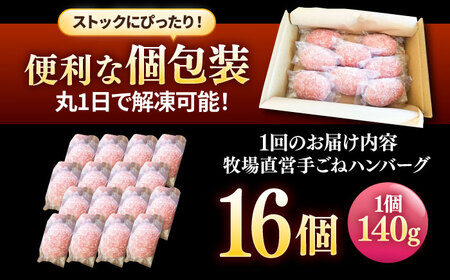 【3回定期便】自家製ハンバーグ16個 / ハンバーグ [IAX060]
