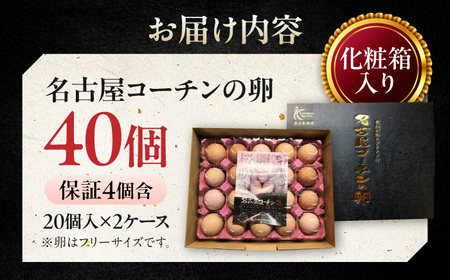 名古屋コーチン 卵 40個（20個入×2ケース）（保証4個含）【化粧箱入り】 / 卵 たまご 玉子 鶏卵 大容量 / 稲沢市 / 櫛田養鶏場 [BMAY001]