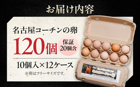 名古屋コーチン 卵 120個（10個入×12パック）（保証20個含） / 卵 たまご 玉子 鶏卵 名古屋コーチン / 稲沢市 / 櫛田養鶏場 [BMAY002]