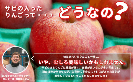 【 感謝りんご / 光センサー選別品 】 りんご シナノスイート 訳あり2kg （ 5玉 〜 12玉 ） 光センサー選別品 ながの農業協同組合 沖縄県への配送不可 2026年10月上旬頃から2026年11月上旬頃まで順次発送予定 令和8年度収穫分 傷 不揃い リンゴ 林檎 果物 フルーツ 信州 長野 予約 長野県 飯綱町 [1867]