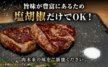 【全3回定期便】【A4～A5ランク】長崎和牛 ランプ ステーキ 600g（150g×4枚）《壱岐市》【野中精肉店】 黒毛和牛 牛肉 和牛 赤身 希少部位  72000円 72000 [JGC027]