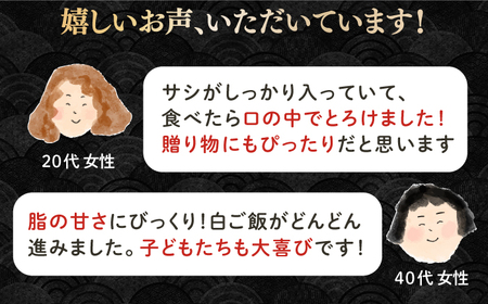【全3回定期便】【A4～A5ランク】長崎和牛 サーロインステーキ 400g（200g×2枚）《壱岐市》【野中精肉店】 黒毛和牛 牛肉 和牛 赤身 希少部位  69000円 69000 6万円 [JGC031]