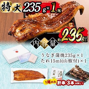 【志布志市制20周年記念】＜期間限定規格＞日ノ本一の鰻の蒲焼き＜特大＞1尾(約235g以上) うなぎ 鰻 ウナギ 国産 鹿児島県産 九州産 蒲焼き 冷凍 うな重 ひつまぶし a4-071-sbs