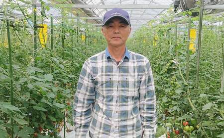 【先行予約】 熊本県 宇城市産 巨峰 2～3房 約1kg【2026年7月下旬～8月上旬頃発送予定】ぶどう ブドウ 葡萄 大粒